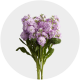 Flowers Spray Stock Lavender 