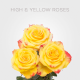 Box High & Yellow Flame Roses 50 cm (100 St)