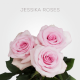 Light Pink Jessika Roses 70 cm (25 St bunch)