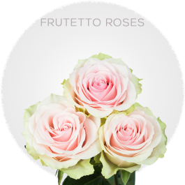 Frutteto Roses | BellevueRoses.com