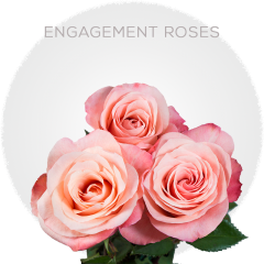 Coral Engagement Roses 50-70 cm