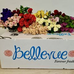 Bellevue Flower Summer Bar 